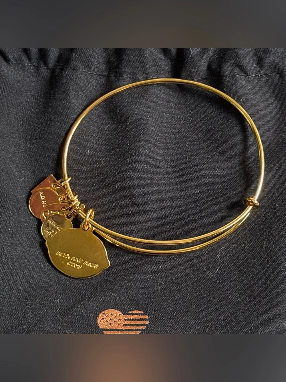 Alex and Ani When Life Gives You Lemons… Bangle Bracelet with Storage Bangle
